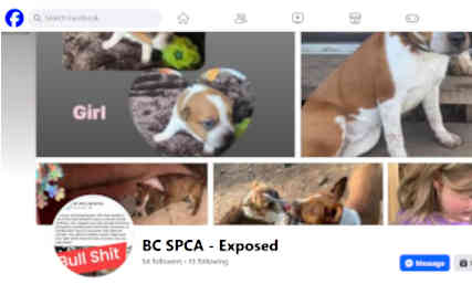 Facebook group BC SPCA - Exposed