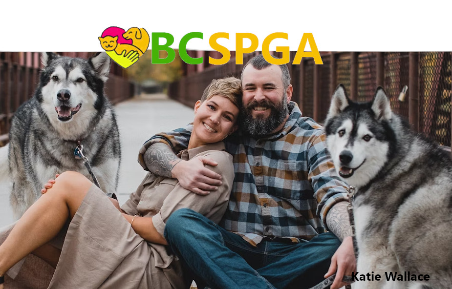 BC people with pets who seek veterinary care are responsible and caring