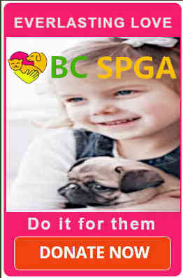 Keep families together