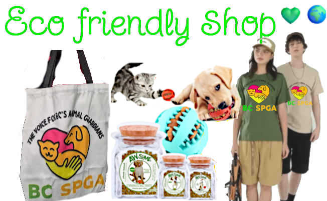 eco friendly shopping for tshirts, totes