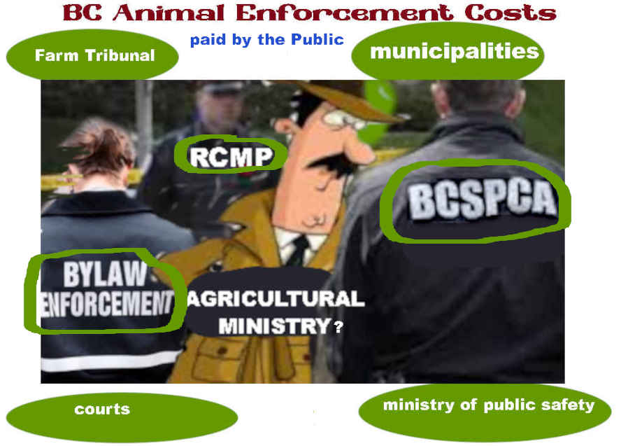 animal enforcement by the provincial government and the municipalities in BC