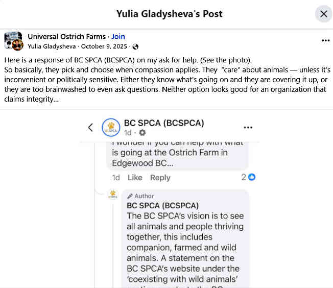 A Facebook commentator on the BC SPCA's response to the ostriches crisis