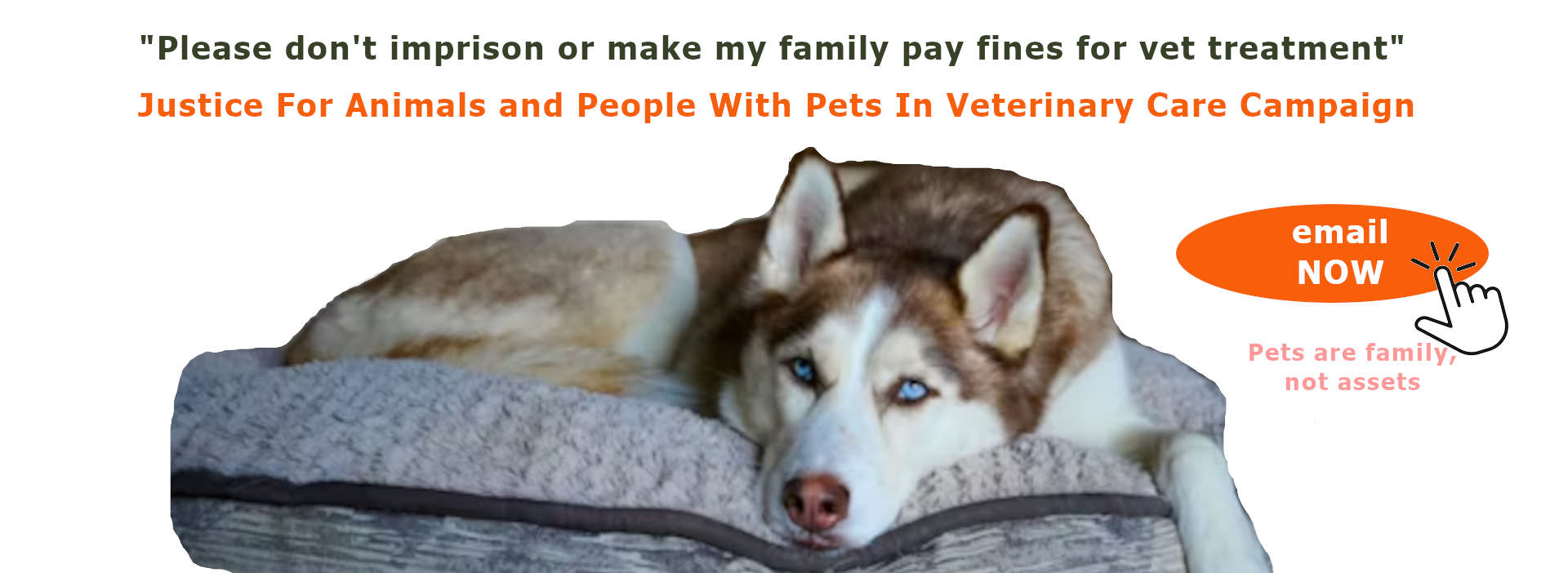 BC SPGA The Voice for BC Pet Owners and their animals and pets