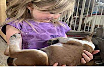 Send pre-written email to help Mandi