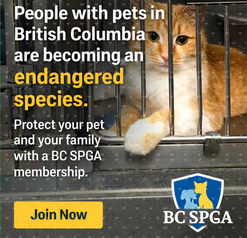 Click to join the BC SPGA for better lives for animals and people who have them