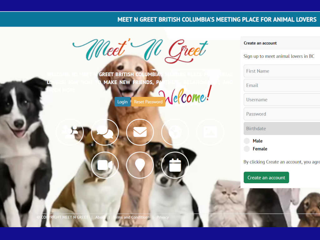 Meet N Greet online platform for animal lovers