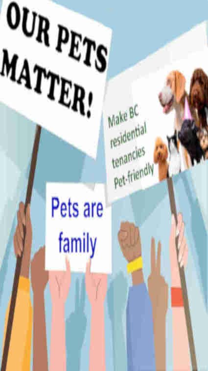 BC pet friendly residential tenancies campaign