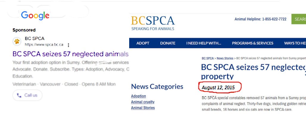 BC SPCA re-purposed animal seizures to solicit more public donations