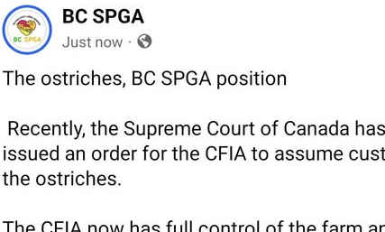 BC SPGA position statement on the deplorable fate of the Universal Farm's ostriches